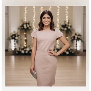 NWT Closet London Dress Blush Pink knee length party wedding sz 12 sheath